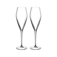2 pk. Luigi Bormioli Atelier champagneglas Prosecco 2 stk. 27 cl