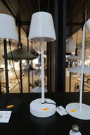 Bordlampe TRIO Genopladelig Hvid