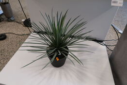 Kunstig Plante i krukke