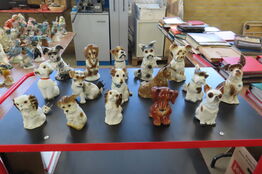 16 stk. Ozonlamper - Hunde