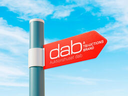 VIGTIG INFO VEDR. AUKTIONEN - Læs beskrivelse!