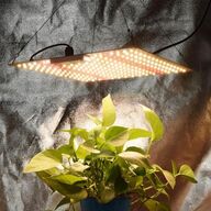 2 stk. Dyrkningslampe Lofthængt 60W