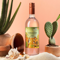 48 fl. Terre di Kama Rosé 2020 DOC Sicilia BIO