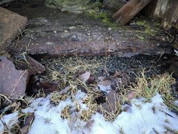 20 fods container med indhold