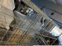 4 Stk. Trådreoler JYSK