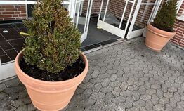 2  Krukker med indhold