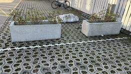 2 Plantekasser Beton med indhold