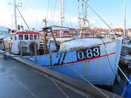 43 fod trawler/fiskefartøj, eg på eg årgang 1966