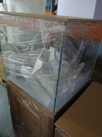 To akvarier med bord og pumpe (str. Mellem)