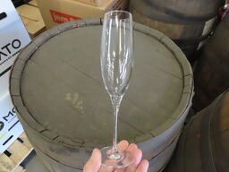 ca. 75 stk. Champagneglas - Zenz Penelope - 17 cl