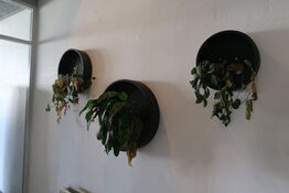 3 stk. væg plantekasser 