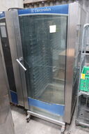 Dampovn ELECTROLUX AIR-O-STEAM