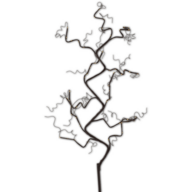 2 pk. Sirius Rasmine troldegren brun H90 cm