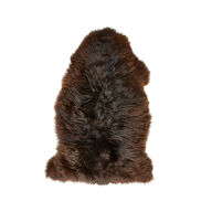 Lammeskind New Zealand brun 60 cm