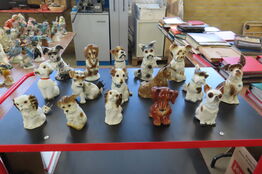 16 stk. Ozonlamper - Hunde