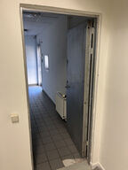 Ståldør b: 90 x h: 210 cm