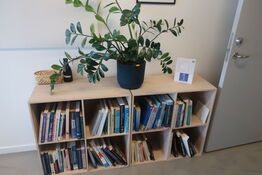 2 stk. reoler / plante / bøger m.m.