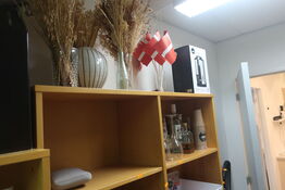 Reolsektion med indhold