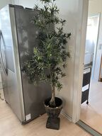Potte m. Plante