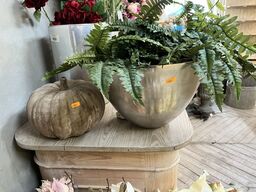 Vase m. Plante inkl. Græskar