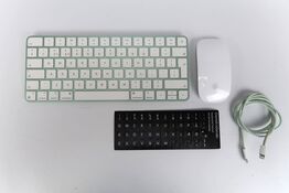 Apple trådløst tastatur, mus & kabel - Grøn