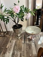 Vase m. Plante inkl. pokal  