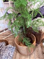 Div. Potter m. Blomster