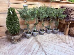 Vinkøler inkl. 5 stk. Planter