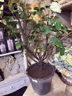 2 stk. Planter m. Vase