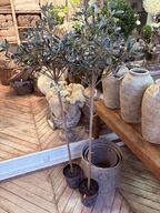 3 stk. Potter inkl. 2 stk. Træer