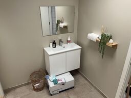 Badeværselset miljø m.Træ hylde og spejl 