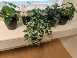 5 stk. Kunstige planter