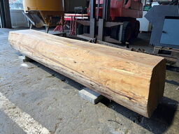 Naturbænk / træstamme