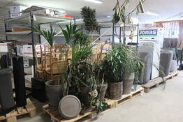 2 paller med planter