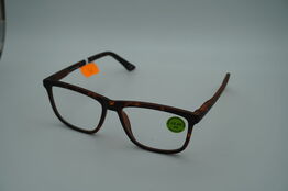 Briller PREGO 6209-04 + 2.50