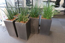 6 stk. Krukker m. planter