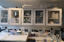 Div. Laboratorieudstyr, laboratorieglas, engangshandsker MICROFLEX m.m.