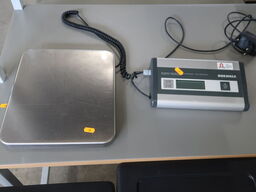 Elektronism vægt