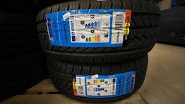 2 Stk. Dæk SUPERIA ECOBLUE 4S - 215/65 R 15 96 H