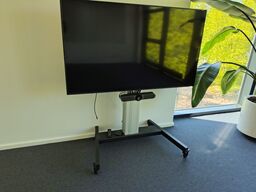 Mødeskærm med stativ SAMSUNG  65"