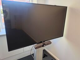 Mødeskærm med stativ  PHILIPS  55" 