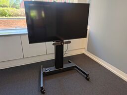 Mødeskærm med stativ  SAMSUNG  55" 