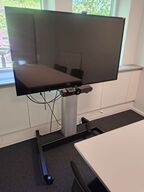 Mødeskærm med stativ  PHILIPS  55" 