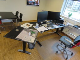 Skrivebord (indhold og stol medfølger ikke)