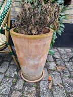 Stor krukke m. plante