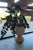 Plante i krukke FERM LVING Hourglass 