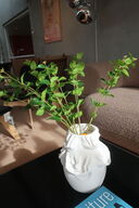 Vase FERM LIVING Drisca