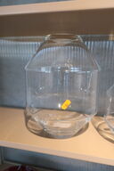 Vase FREDERICIA FURNITURE Hydro H30 cm. 