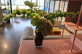 Vase HEINSTUDIO Ostrea Rock