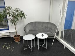 Sofa, 2 stk. kaffeborde, plante og stumtjener 